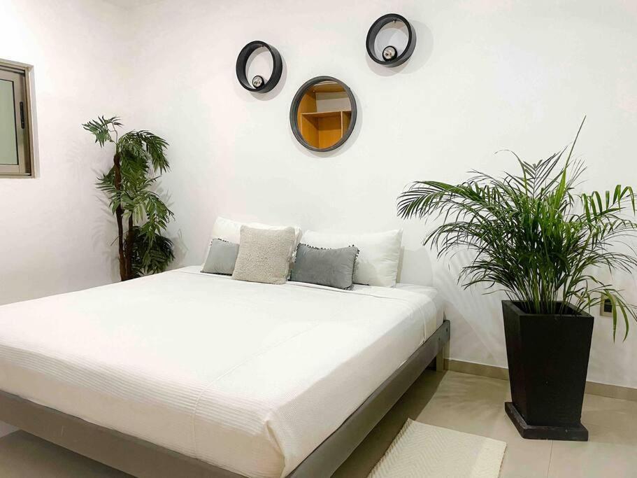 Apartamento In The Best Area Of ​​playa Del Carmen Playa del Carmen