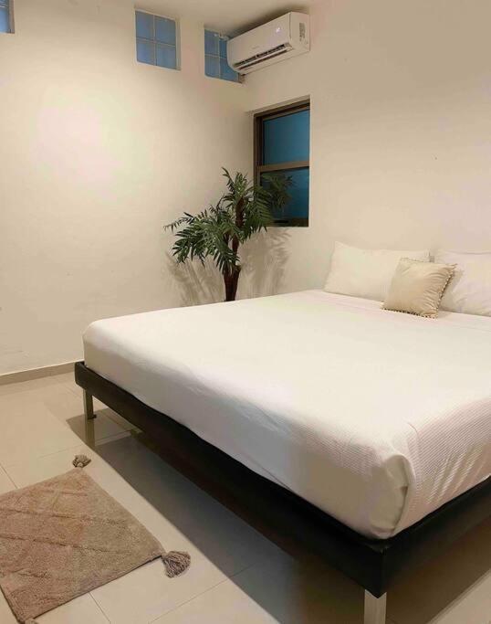 Apartamento In The Best Area Of ​​playa Del Carmen *