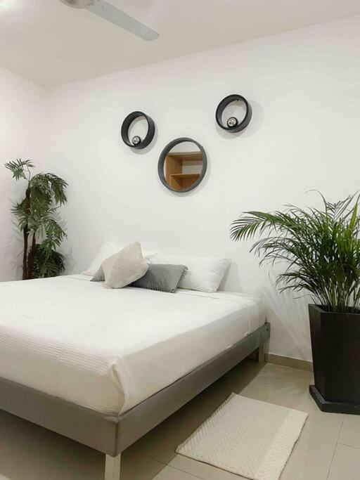 In The Best Area Of ​​playa Del Carmen Playa del Carmen